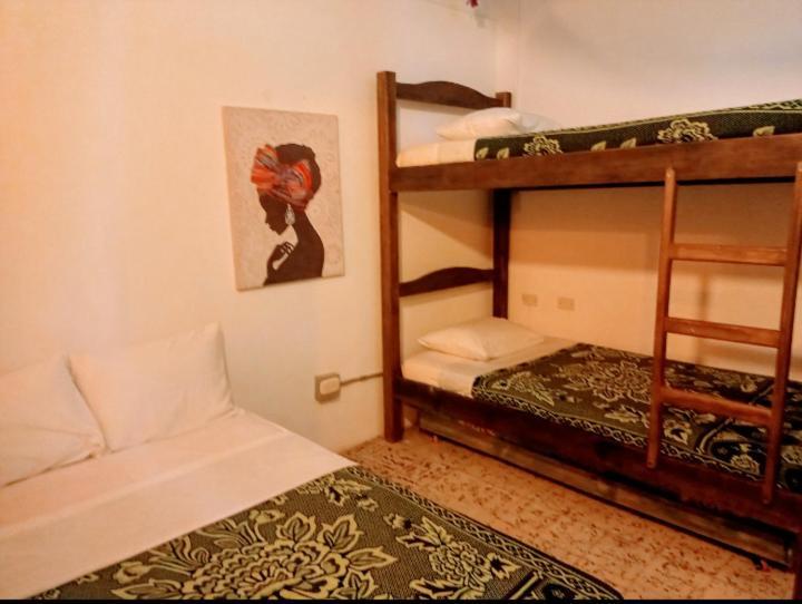 Hostal Macondo Inn Carmen de Viboral エクステリア 写真
